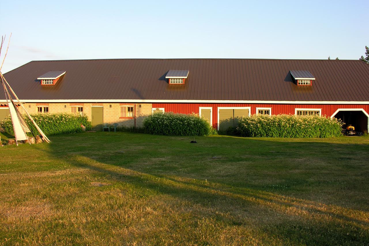 Hankaniemen Tila Villa Ahtari Exterior photo